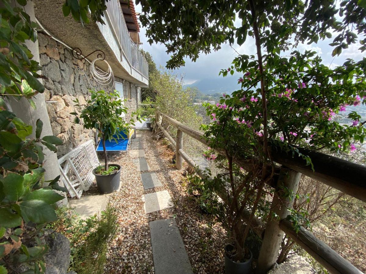 Le Dimore Di Zaro - Green Paradise Forio  Bagian luar foto