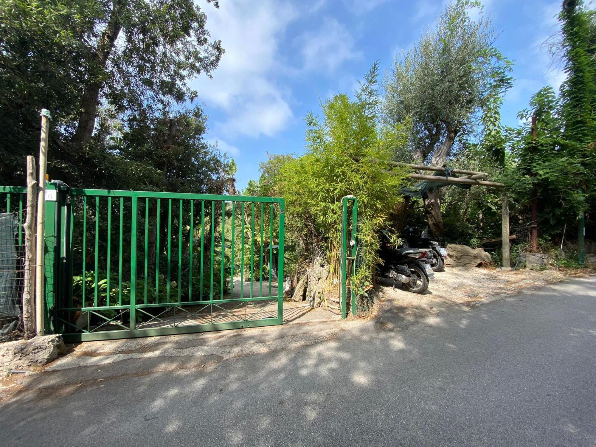 Le Dimore Di Zaro - Green Paradise Forio  Ruang foto